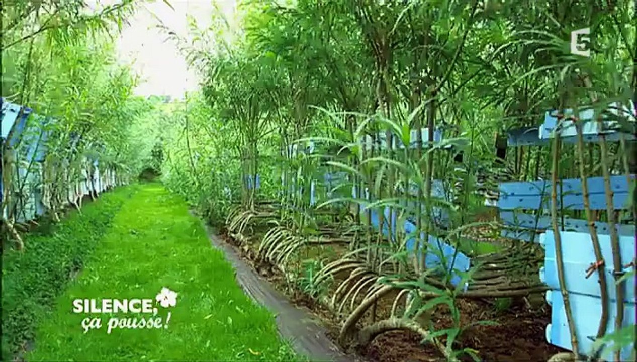 Silence, ça pousse ! 8.01.2016 VOSTF France 5