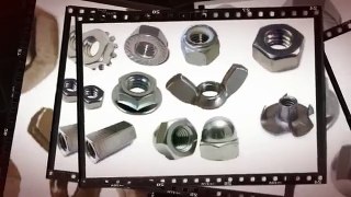 Stainless Steel Nuts