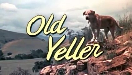 Old Yeller - Disneycember