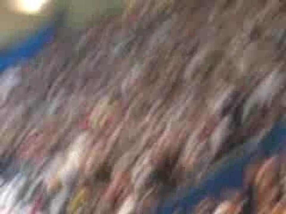 Allez paris dernier match parc atks