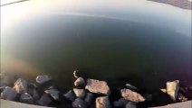 DJI Phantom 2 GoPro Hero3 Aerial Videography Sunny River Windermere, BC