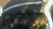 DJI Phantom 2 GoPro Hero3 Aerial Videography Sunny Argenta, BC