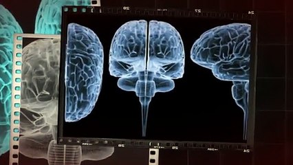 Better Brain Boosters!