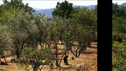 Pierre Rabhi au nom de la terre