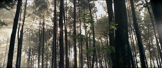 Modus Anomali: le réveil de la proie