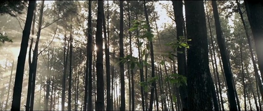 Modus Anomali: le réveil de la proie