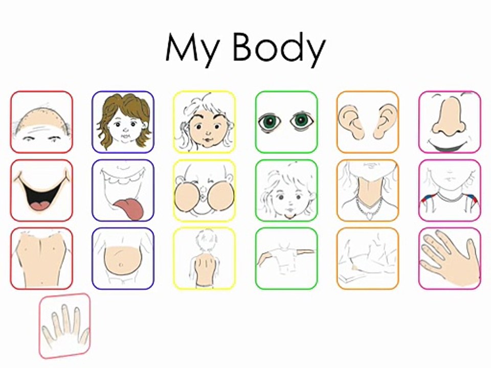 Body Vocabulary - (original)