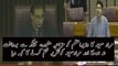 D-Murad Saeed ka Nawaz Sharif ku aik zabardast Mashwara | PNPNews.net
