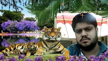 dil jane jigar tum pe nesar kya ha
