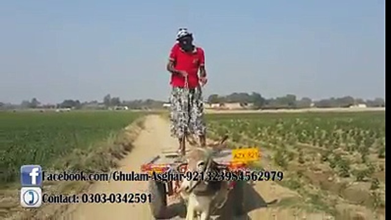12548041_173918122968474_355041207_n