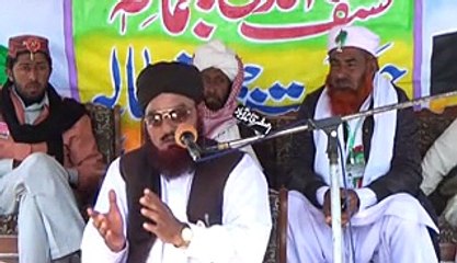 Syed Abid Hussain Shah _03026263096