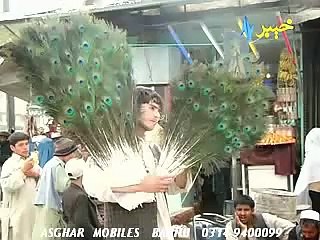 pashto new song wara wai lasoona