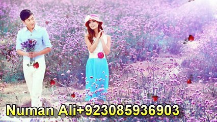 Hui aankh nam or ye dil Muskriya