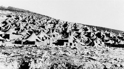 Comme des lions de pierre à lentrée de la nuit
