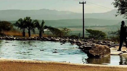 Les Yeux jaunes des crocodiles