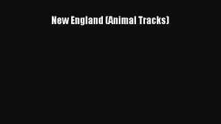 PDF Download New England (Animal Tracks) PDF Online