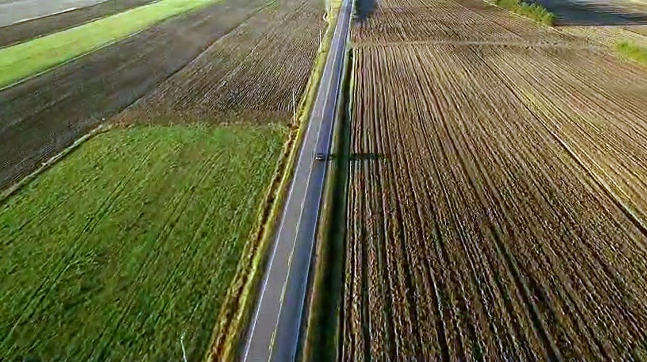 Tom à la ferme