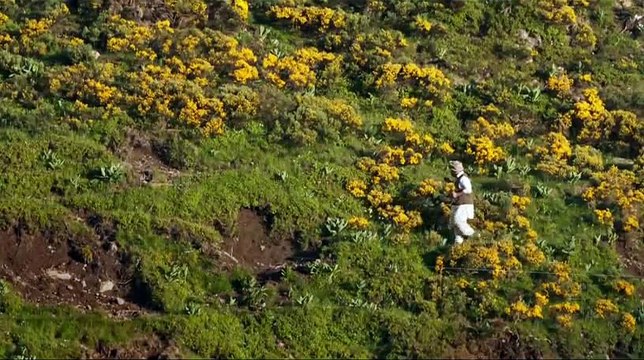 Pan pleure pas: Trois contes de Gabriel Abrantes