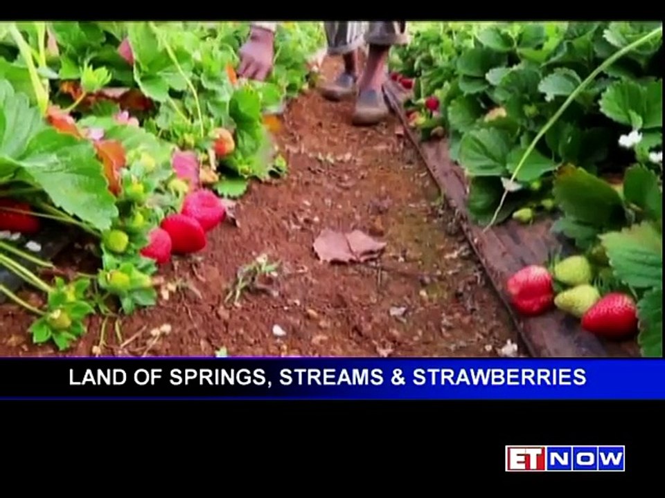 Weekend Mantra - Quick Weekend Getaway to Mahabaleshwar