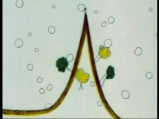 Shadoks 202 saison 2 épisode 2