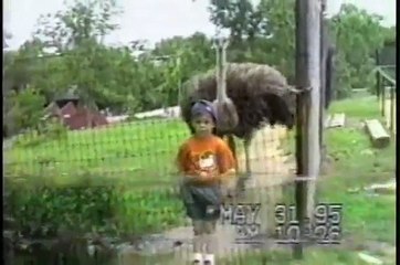 Americas Funniest Home