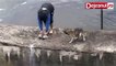 A Man Rescues A Drowning Dog, But It's What The Dog Does Next That Is Melting Hearts!