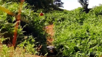 FailArmy Presents: Street Troller