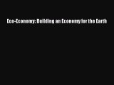 PDF Download Eco-Economy: Building an Economy for the Earth Download Online