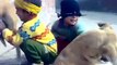 Funny Kid Vs Dog-Sham Idress Videos Zaid Ali Videos