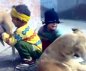Funny Kid Vs Dog-Sham Idress Videos Zaid Ali Videos