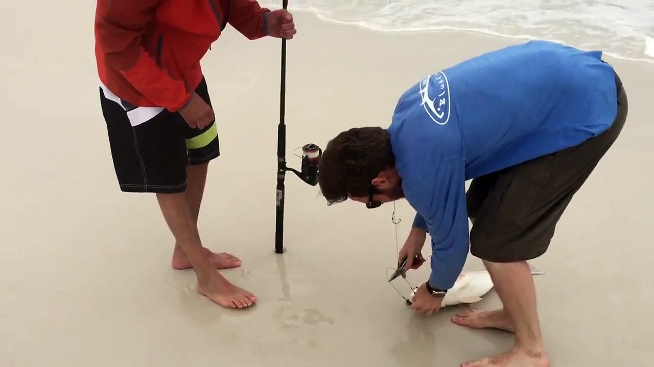 2015 Redfish From The Beach