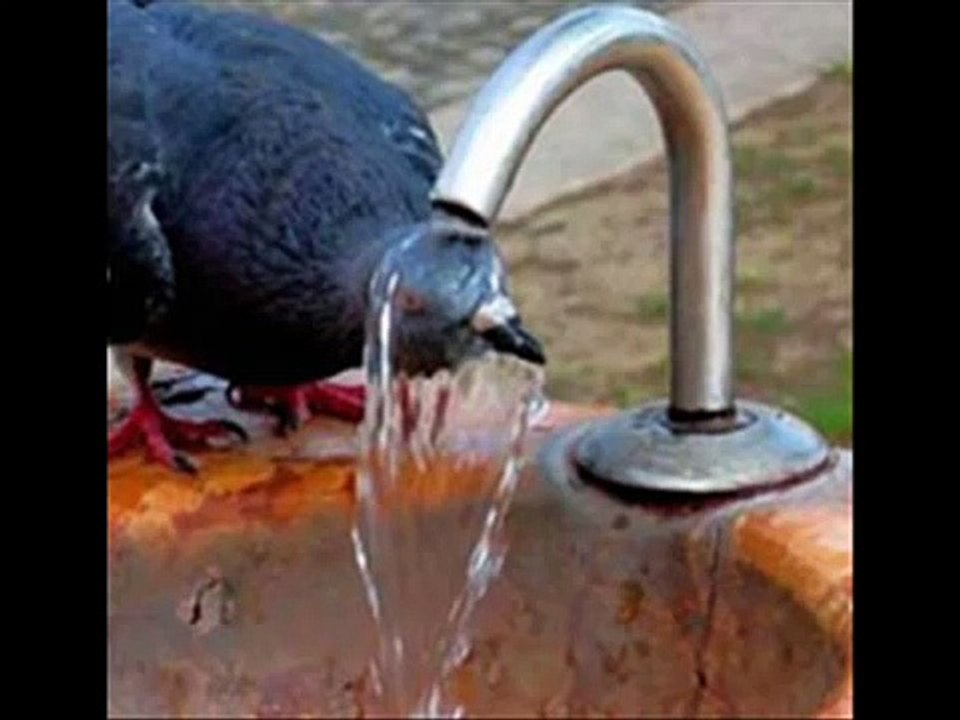 صوت الاذان الإسلامية