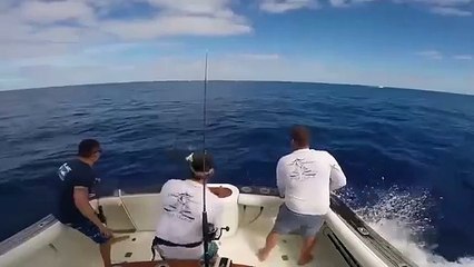 Fisherman almost impaled by 90kg giant marlin