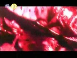 Dir en grey - Clever Sleazoid