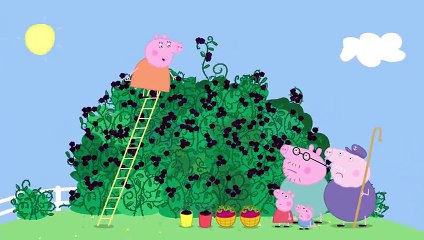Peppa Pig - The Blackberry Bush (Clip)