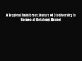 PDF Download A Tropical Rainforest: Nature of Biodiversity in Borneo at Belalong Brunei PDF