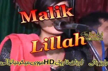 Hum Tairay Bin Ab, Fareeha Akram, New Urdu Seraiki Cultural Song, Wedding Dance Mehfil_By M Ramzan Shah 2016