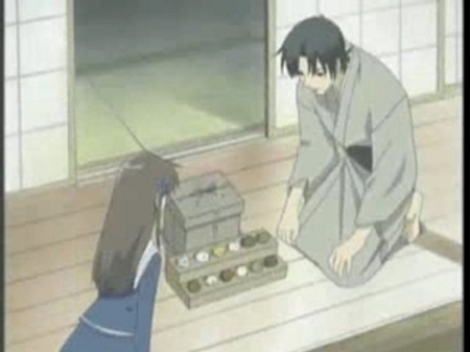 AMV  Fruits Basket - Regrets