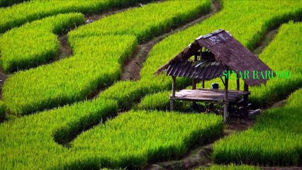 Pop Sunda Duriat Vocal Darso