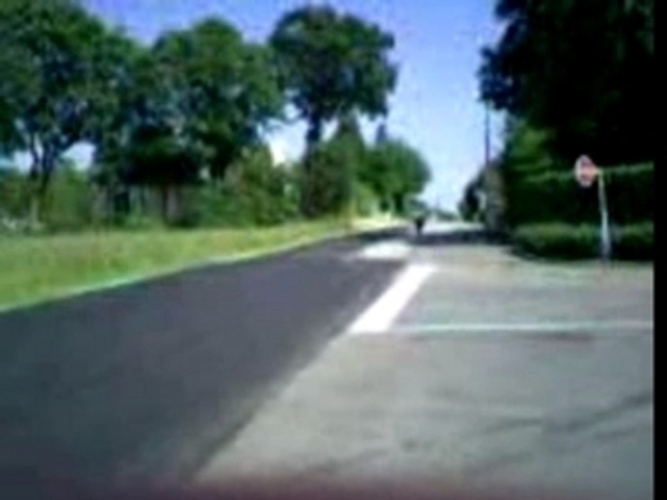 103 rcx kité polini 50