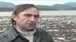 Rritja e nivelit të ujit,Fierza kthehet në depozitë mbeturinash - Top Channel Albania - News - Lajme