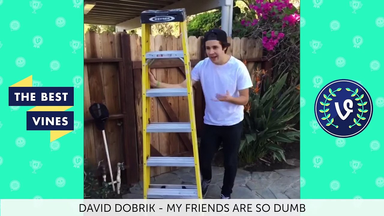 Best Vines of December 2015 Vine Compilation   Part 2