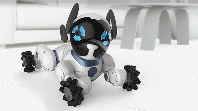 Meet CHiP, la primera mascota robótica más adorable del mundo.