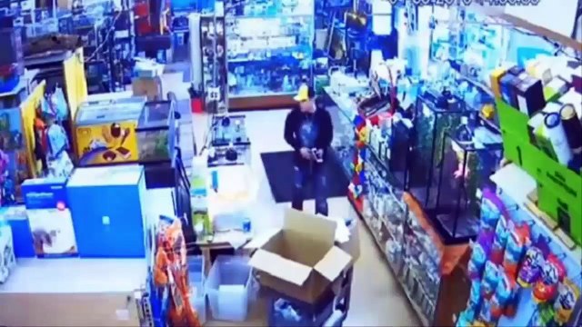 Is that a python in your pants? Sssneaky 'thief' caught on camera stealing snake