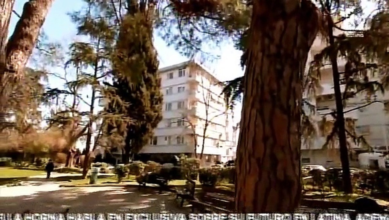 ESDF022