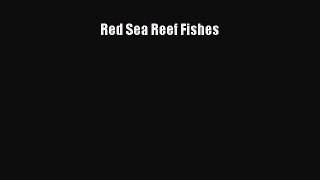 PDF Download Red Sea Reef Fishes PDF Full Ebook