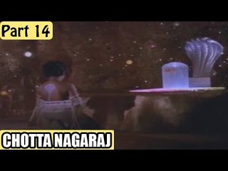 Chotta Nagaraj | Full Hindi Movie | Part 14/14