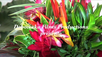 Soigner avec l'énergie