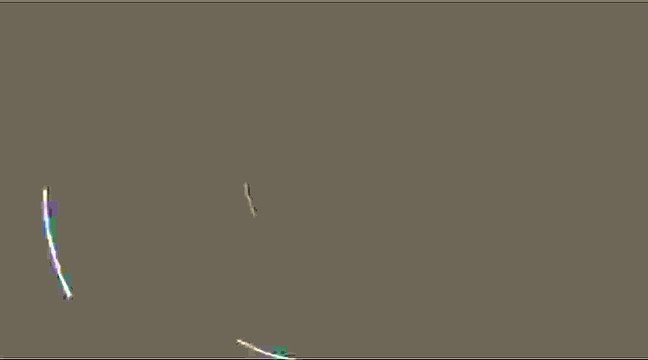 Renovó Tigres a Guido Pizarro por tres años