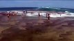 Rogue wave wipes out swimmers in Sydney, Australia